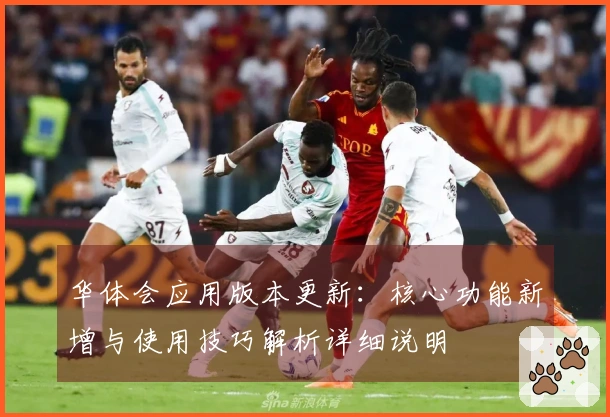 华体会应用版本更新：核心功能新增与使用技巧解析详细说明