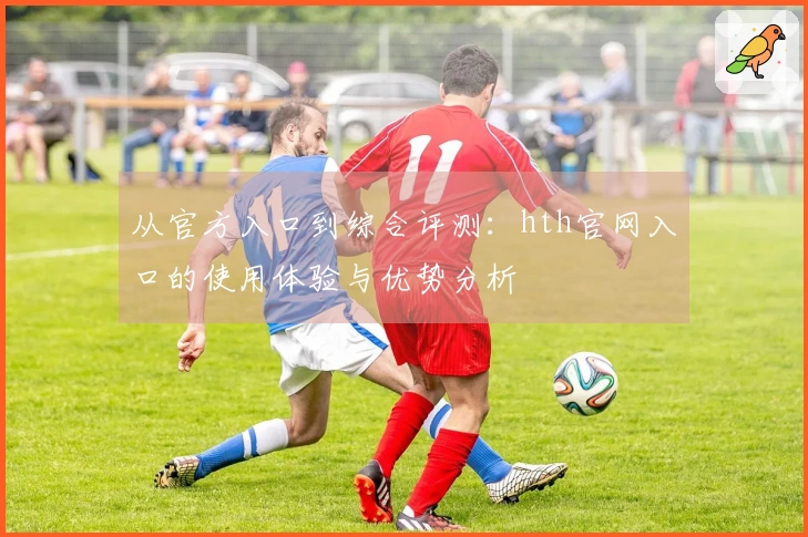 从官方入口到综合评测：hth官网入口的使用体验与优势分析